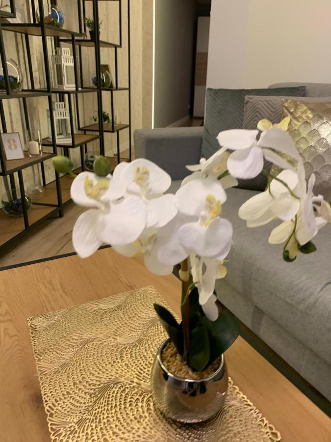 Moderno Apartament クラクフ エクステリア 写真